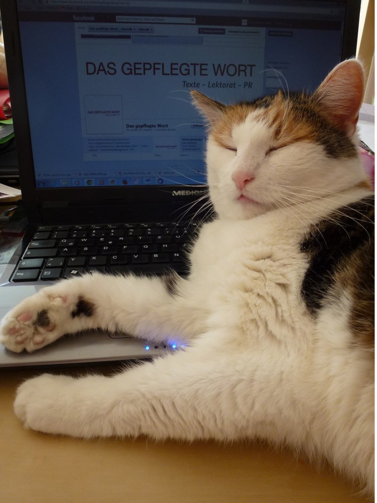 Texte Lektorat PR Köln Das gepflegte Wort Büro-Katze